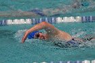 Swim vs Bentley  Wheaton College Swimming & Diving vs Bentley University. - Photo by Keith Nordstrom : Wheaton, Swimming & Diving